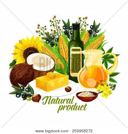 Natural Oil Products, Organic Plants. Golden Corn And Coconut, Sunflower And Butter, Colza Oil And R
