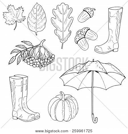 Set Of Autumn Objects. Maple Leaf, An Oak Leaf, An Acorn, Rubber Boots, An Umbrella, A Rowan, A Pump