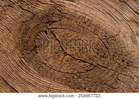 Wood Texture Of Brushed Pine Boards With Knots. Abstract Background With Wood Pattern. Distressed Wo