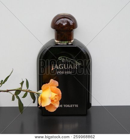 Jaguarfor Men, Eau De Toilette, Large Perfume Bottle Decorated With An English Rose
Kassel, Germany,