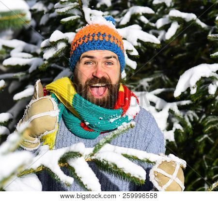 Macho With Beard Between Firtrees Branches Shows Thumb Up.