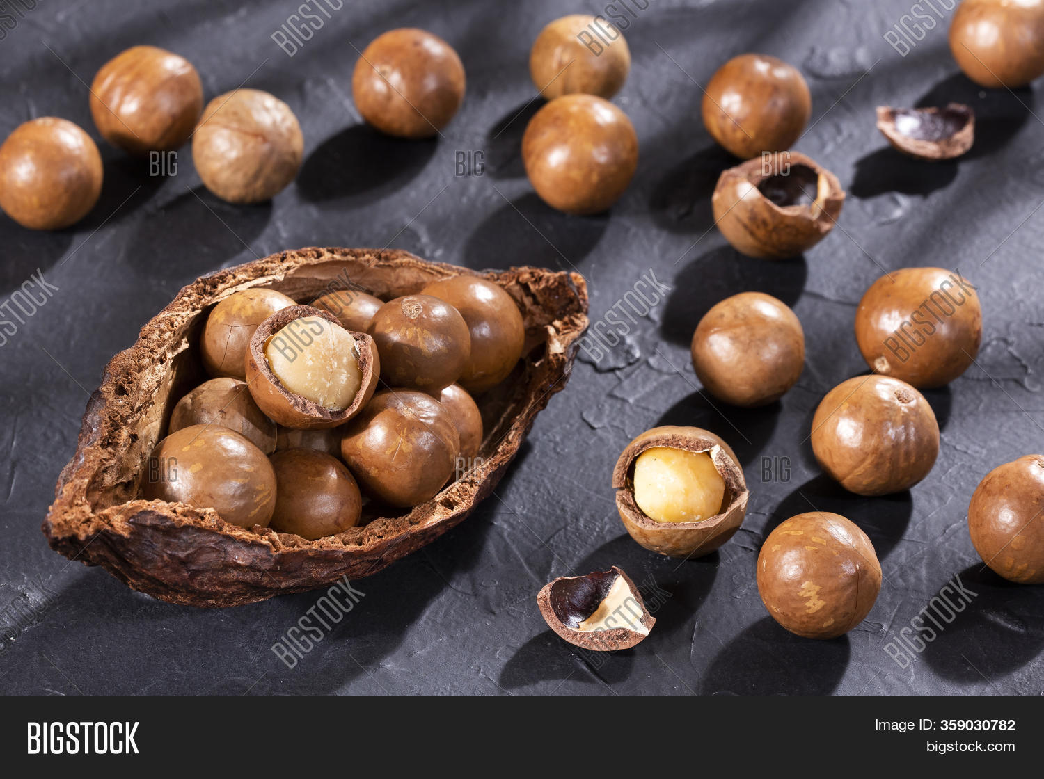 Macadamia Integrifolia Image & Photo (Free Trial) Bigstock