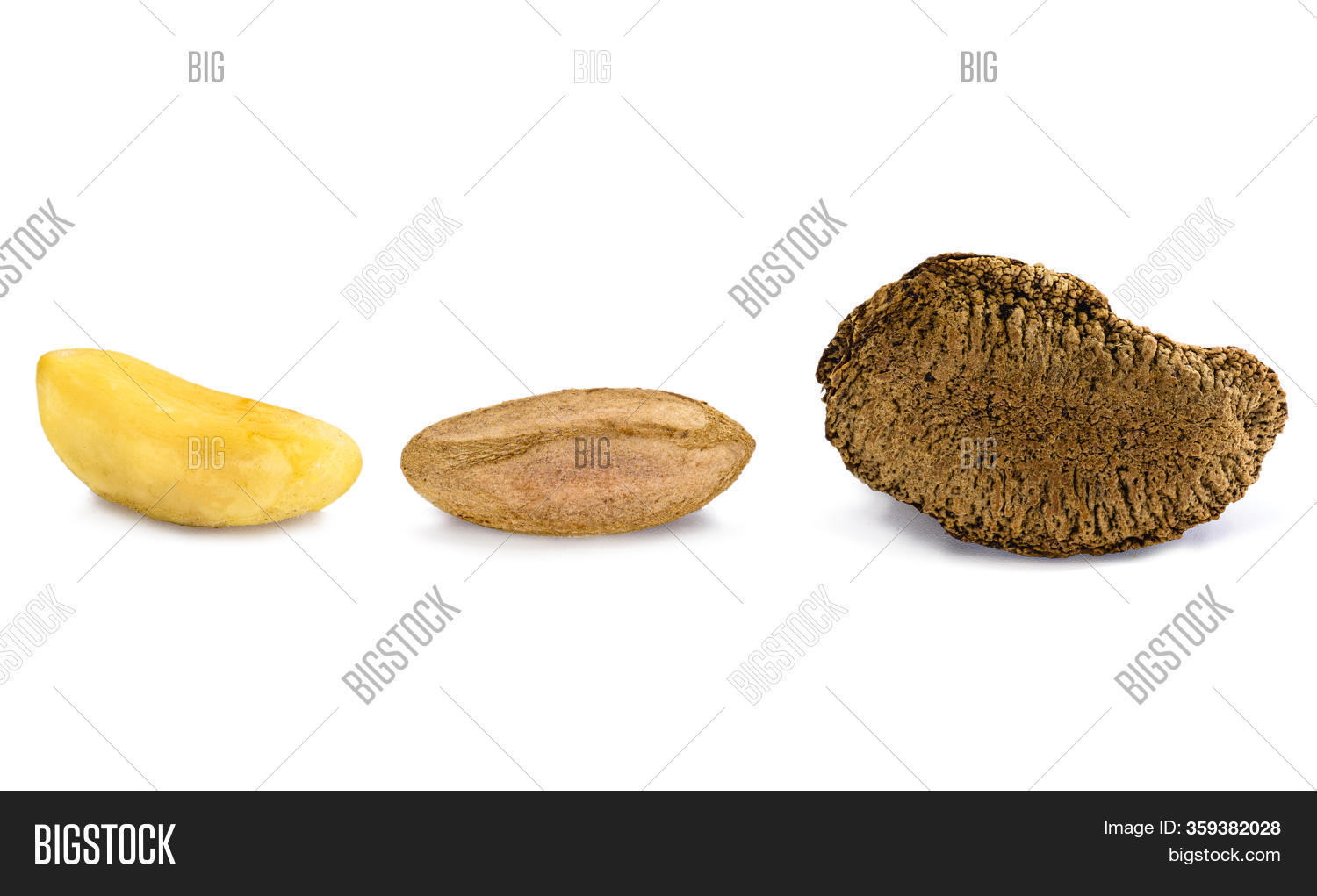 Peeled Brazilian Nut, Image & Photo (Free Trial) Bigstock