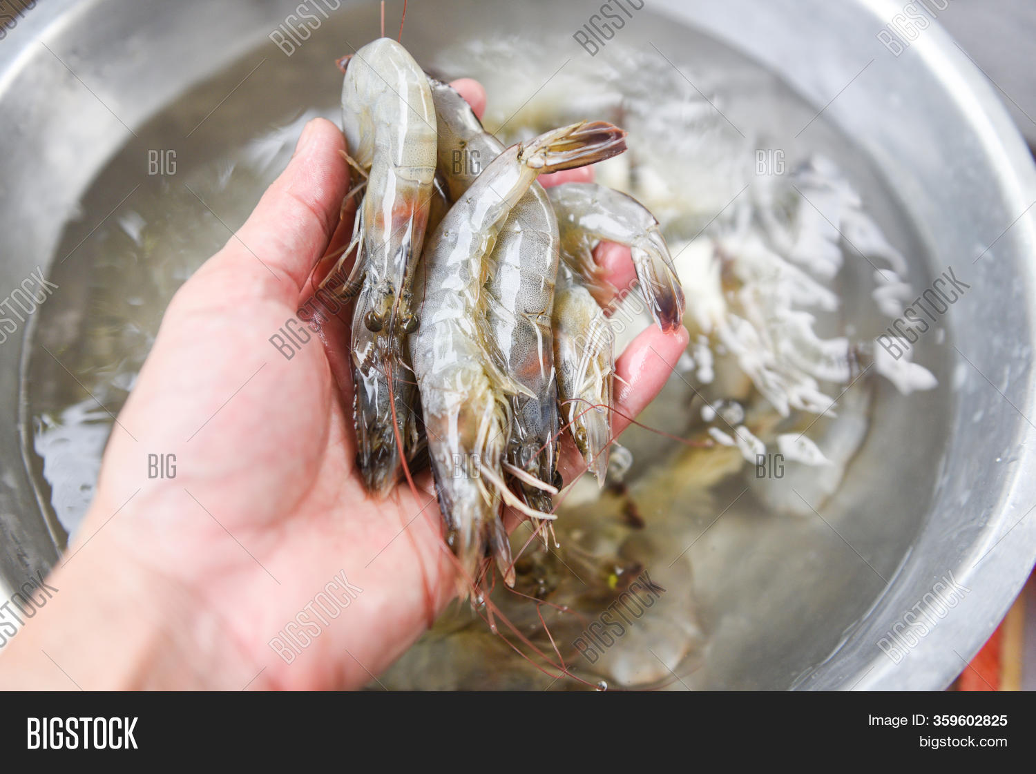 Fresh Shrimp Hand Image & Photo (Free Trial) Bigstock