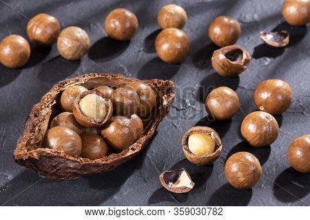 Macadamia Integrifolia - Macadamia Nuts In The Bowl
