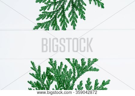 Creative Layout Made Of Papers And Leaves Flat Lay. Minimal Nature Concept.
