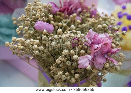 Peganum Harmala Herb, Medicinal Herbs, Herbal Plants, Medicinal Plants . Dried Harmal On Display . P