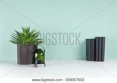 Fresh Spring Workplace For Work And Study With Black Books, Aloe Plant, Candlestick In Light Green M