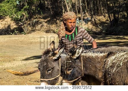 Gondar, Ethiopia - Feb 07, 2020: Agricultural Population Working On The Farms Between Gondar And The