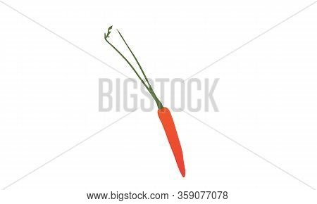 Carrot Drawing Vector Icon. Can Modify Color Easily.