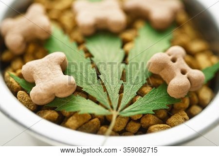 Cbd Food For Dogs Wellness, Natural Supplements For Animals And Pets With Medicine Treats Like Bone.