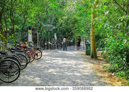 Samut Prakan, Thailand - January 04 2020: Bicycle Parking At Bird Watching Spot In Sri Nakhon Khuean