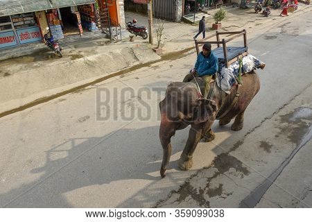 Man Riding An Elephant In The Main Street Of Sauraha In Nepal