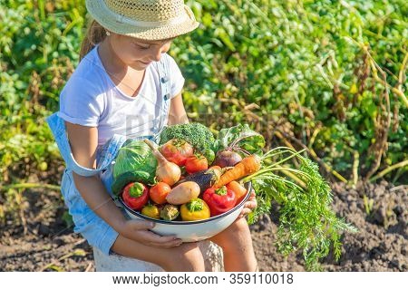 Child In The Garden With Vegetables In His Hands. Selective Focus.