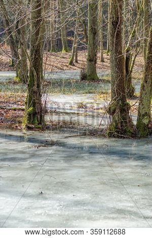 Frozen Lake Near Poratz In The German Uckermark Region On A Bright Winter Day