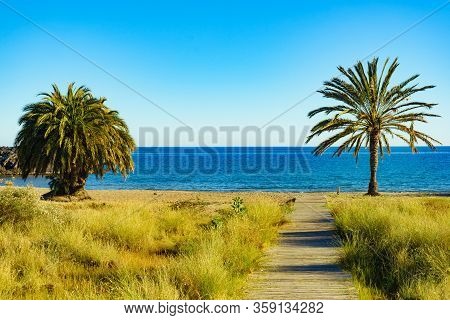 Percheles Beach, Murcia Region Spain. Mazarron Bay. Coastal Landscape With Palm Trees And Wooden Pat