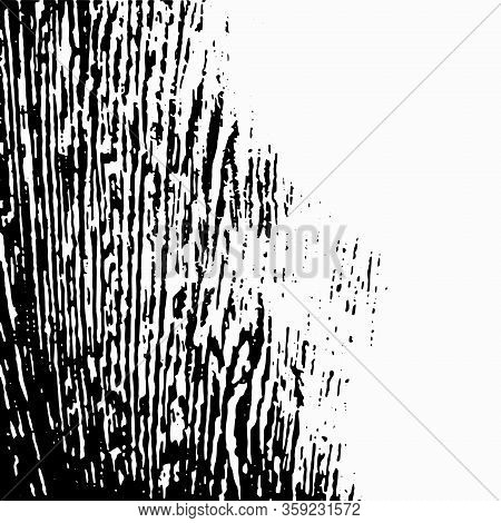 Black And White Background With Wood Texture And Place For Text, Copy Space. Abstract Pattern, Templ
