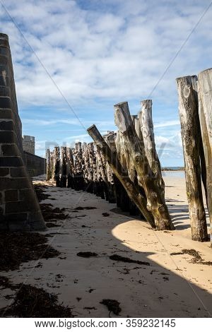Big Breakwater, 3000 Trunks To Defend The City From The Tides, Plage De L Eventail Beach In Saint-ma