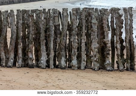 Big Breakwater, 3000 Trunks To Defend The City From The Tides, Plage De L Eventail Beach In Saint-ma