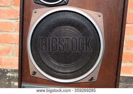 Low-frequency Speaker Of Vintage Soviet Acoustics. Dynamics 30gd-2