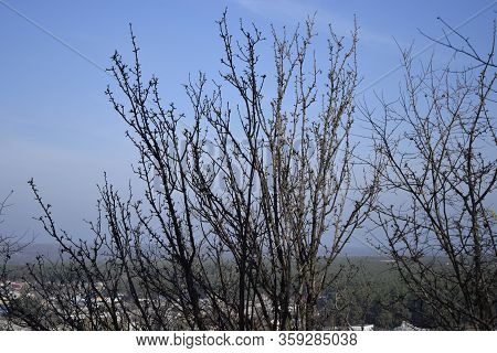 Landscape From Height On Green Steppes. Motherland Of Famous Painter Repin. Falling Leaves On The Sc