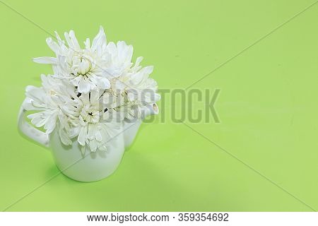 Flowers In A Mug, Abstract Spring Floral Background. Creative Modern Bouquet, Minimal Holiday Concep