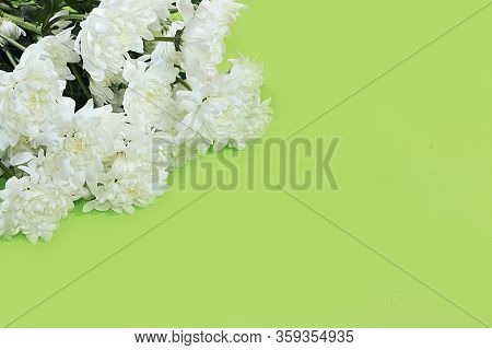 Abstract Spring Floral Background, Banner, Minimal Holiday Concept. Greeting Card For Mother's Day, 