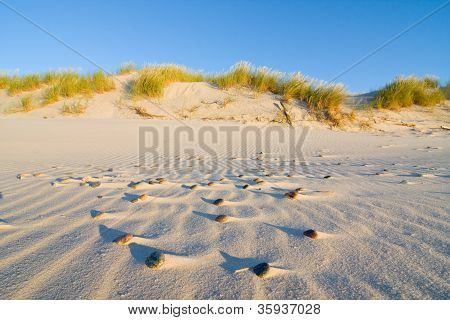 Dune på stranden ved solnedgang