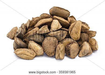 Brazilian Nut, Known As 