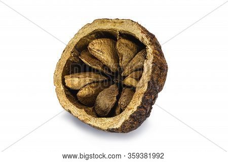 Brazilian Nut, Inside The Coconut, Known As 