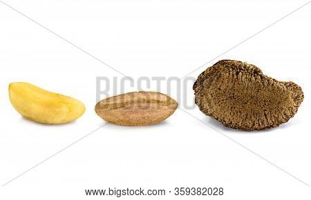 Peeled Brazilian Nut, Outside The Coconut, Known As 