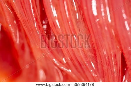 Trout Fish Gills As Abstract Background. Macro