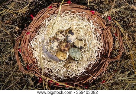 Duck White Eggs In A Basket. Easter Still Life.
