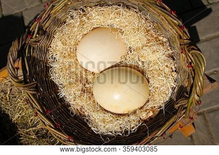 Ostrich White Eggs In A Basket. Easter Still Life.