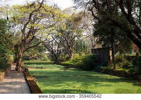 River Channel City Allapuzha, India, Kerala. Overgrown With Green Algae, In A Stone Embankment, A Na