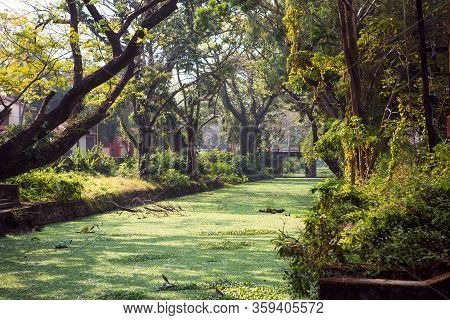 River Channel City Allapuzha, India, Kerala. Overgrown With Green Algae, In A Stone Embankment, A Na