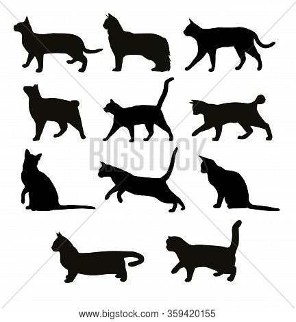 Vector Set Black Cats Silhouettes. Playing Cats