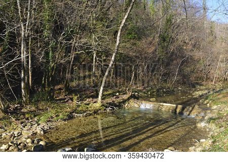 The Kozbanjscek River Near Kozbana In Primorska, Western Slovenia