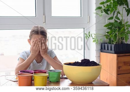 Girl In Self-isolation At Home Planting Seeds In Pots