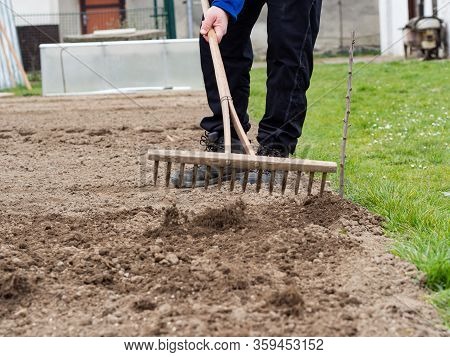 Raking Orgainc Soil With Wooden Rake In Spring Vegetable Garden