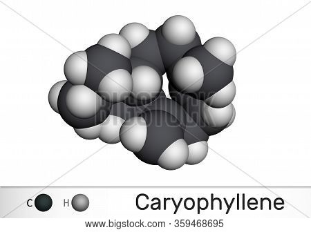 Caryophyllene, Beta-caryophyllene, C15h24 Molecule. It Is Natural Bicyclic Sesquiterpene That Is A C