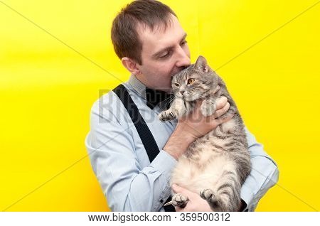 Handsome Sly Man In Blue Shirt Holding Cute Grey Tabby Cat And Jesting Bite It Ear In Front Of Yello