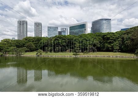 Springtime In Shinjuku Gyoen National Garden In Tokyo, Japan