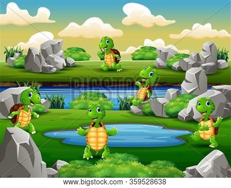 A Group Of Turtles Playing Near The Waterhole