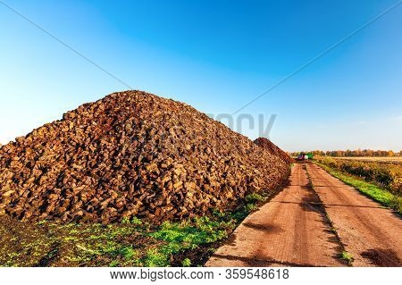 Cutted Peat Was Piled Up In A Heap After Drying. It Will Be Grounded, Packed And Then Sold As Garden