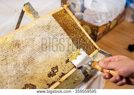 Honeycomb Open Unwaxing Fork Beekeeper Uncapped For Harvest Golden Delicious Honey Closeup