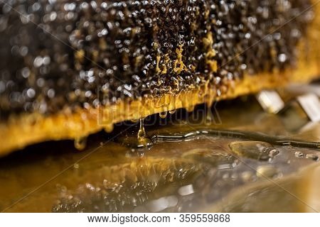 Glossy Yellow Golden Honey Comb Reflection Mirror Sweet Honey Drips Flow During Harvest Background W