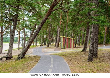 Bike Path In A Beautiful Pine Forest, Vosu Village, Lahemaa Nature Park, Estonia