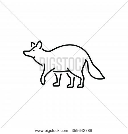 Black Line Icon For Raccoon Omnivorous Nature Animal Jungle Wildlife Zoo