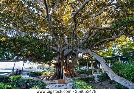 Alameda De Apodaca, A Public Park And An Example Of The Eclectic Style Of Regionalism In Cadiz, With